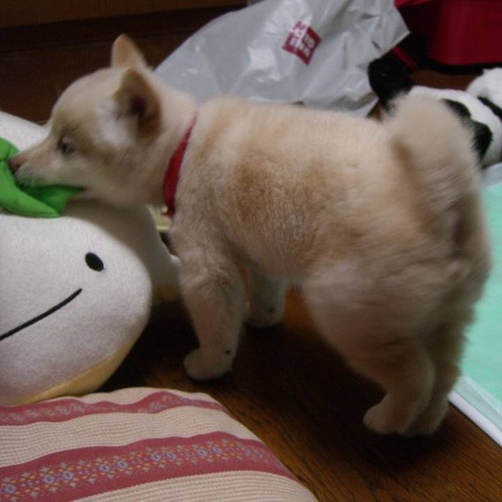 3e2d23ed 7ae3 4060 877f e1d8b18ca044 1646588422009