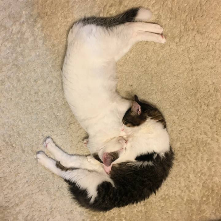 3e2d6d80 a2f7 4f61 bf5e b271984c8eed 1668986631067