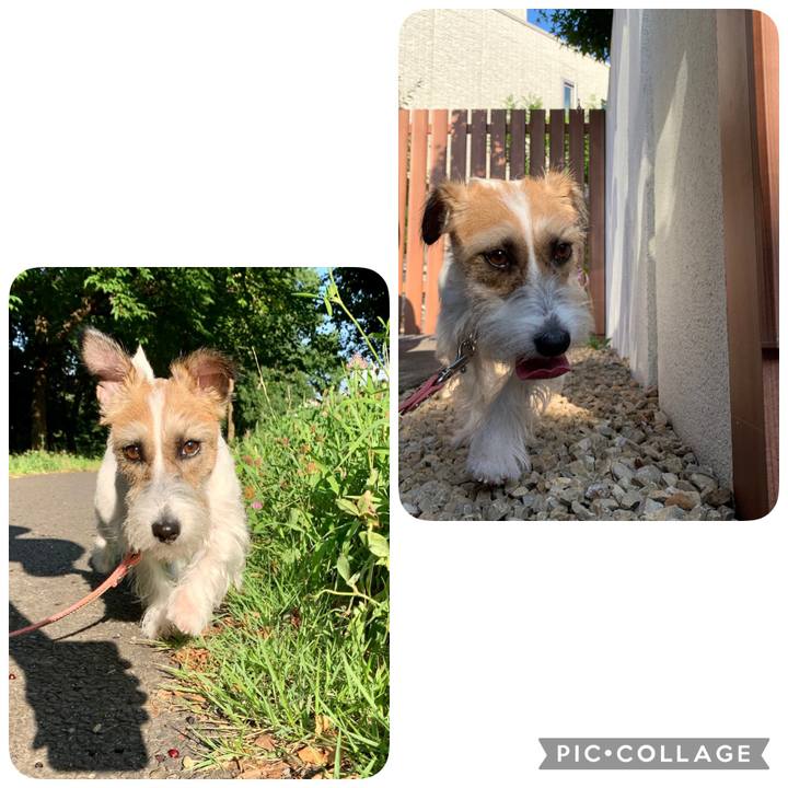 3e2d76f1 ab20 4335 9a0e 695f0d802ddf 1627261739530