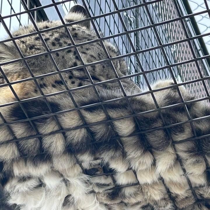 3e2da934 d1ff 4001 ac04 e6571d88254f 1773491850873