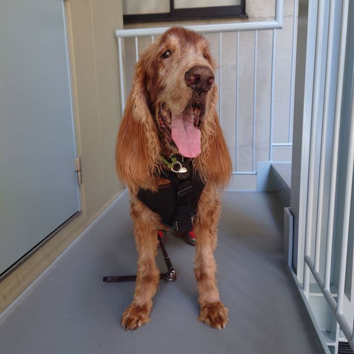 3e2db998 6b33 4190 8fab a0f13901859d 1730604098971