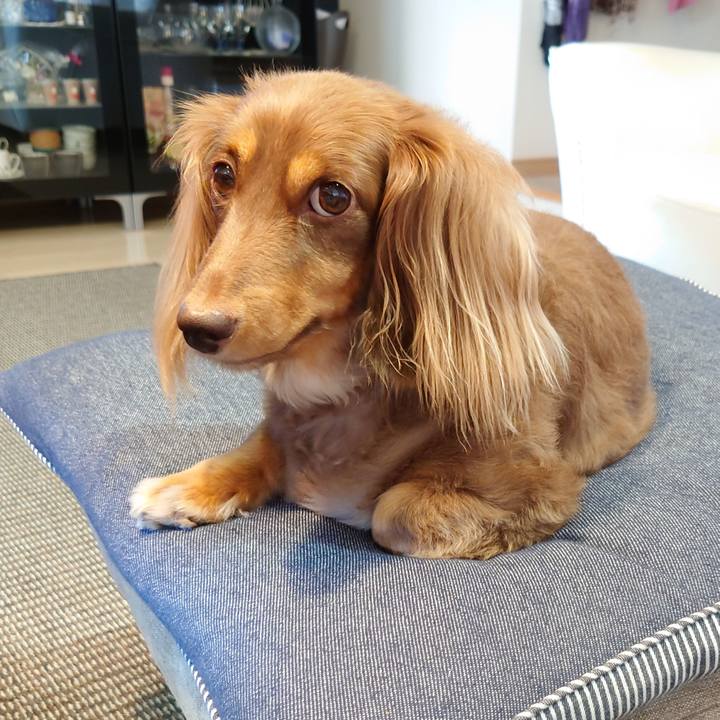 3e2de5e1 bad9 4959 8e9c 1da275d6a567 1630124963675