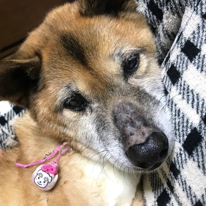 3e2e31b3 9d0f 4e17 9dff faa0b425afa3 1550853278620