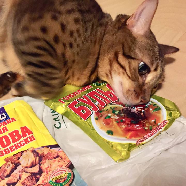 3e2e664f 9662 4609 afb3 8f77ebcf8d9c 1537312443363