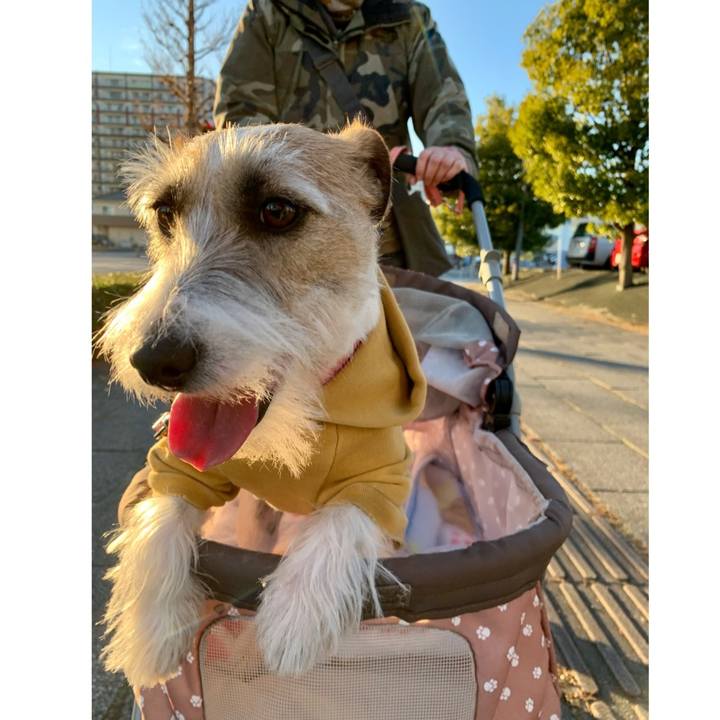 3e2e72b4 2a06 4768 93f2 a83ac1ee9e0c 1608973589993