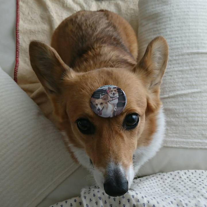 3e2e9990 0d62 448e 9903 42955d39a736 1522475180461