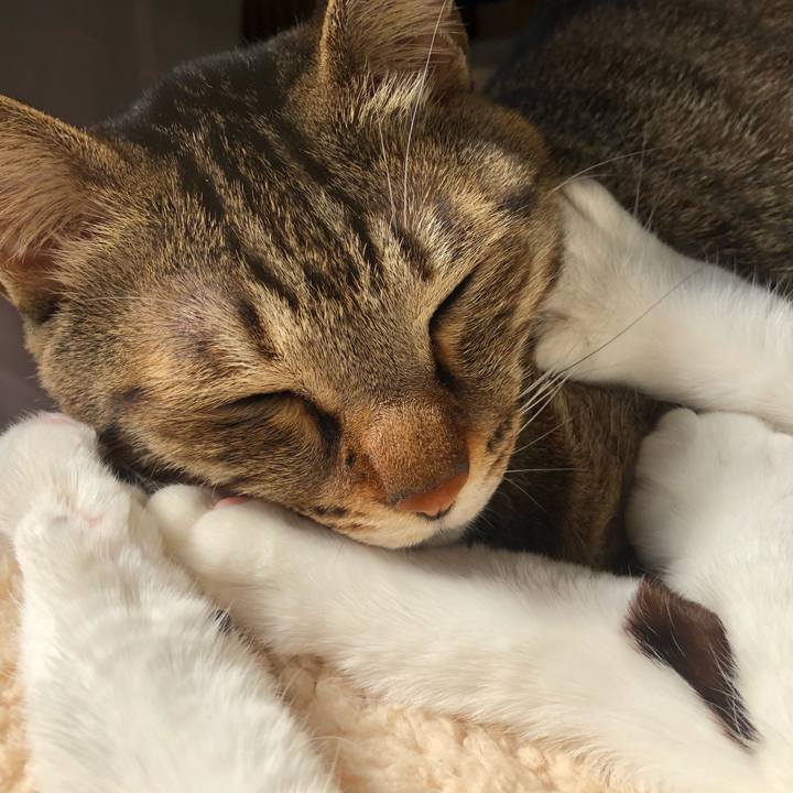 3e2ea555 05ee 4e4b be3b c5c5874c6368 1646491918616