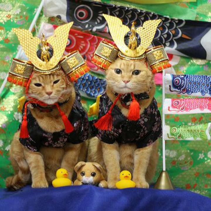 3e2ed62b 13fa 4852 b1a2 c51b410f5477 1525507835307