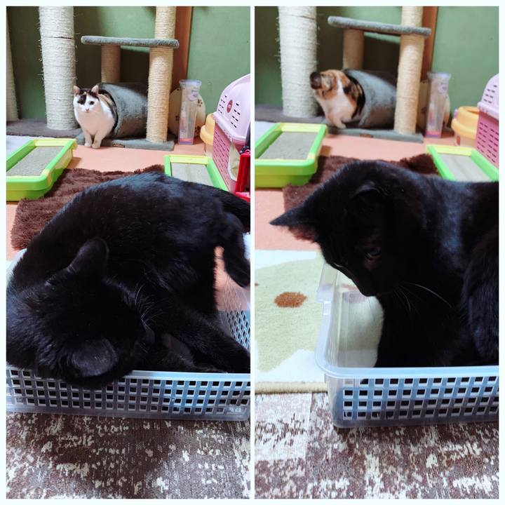 3e2ee6b5 2b89 4a1f 9ad5 4ccc27db7909 1554861560734