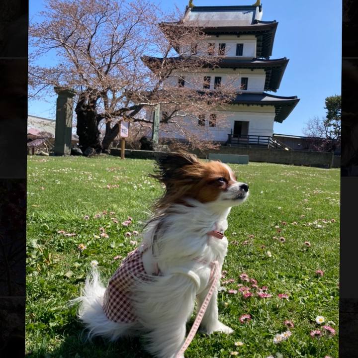 3e2f45d9 0b41 4ce5 b73d 6691671e3866 1650698716325