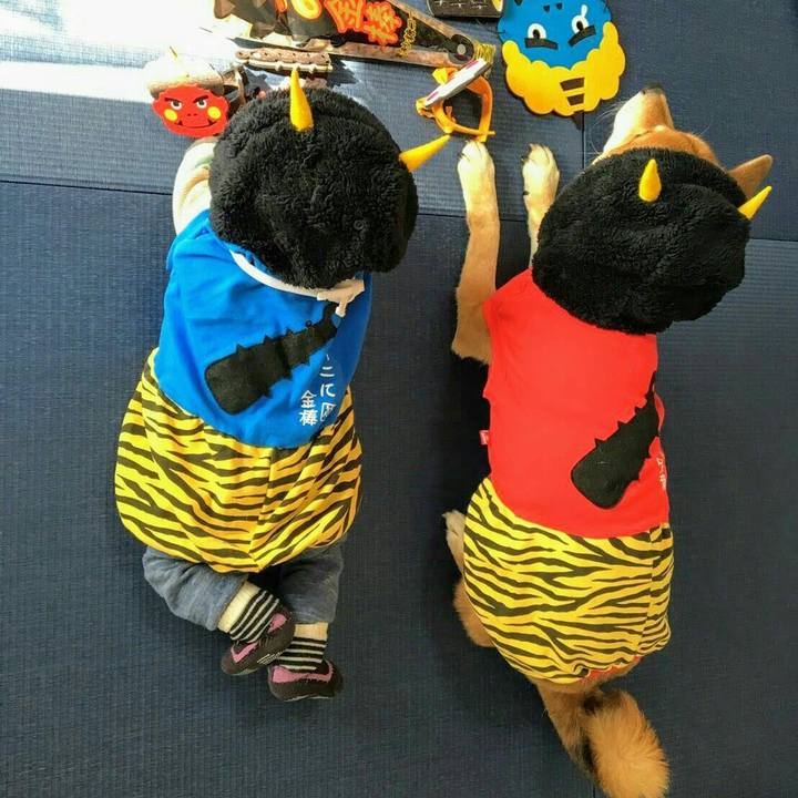 3e2f4d86 9bf4 49c9 9be0 f276e4f218bd 1549181493908