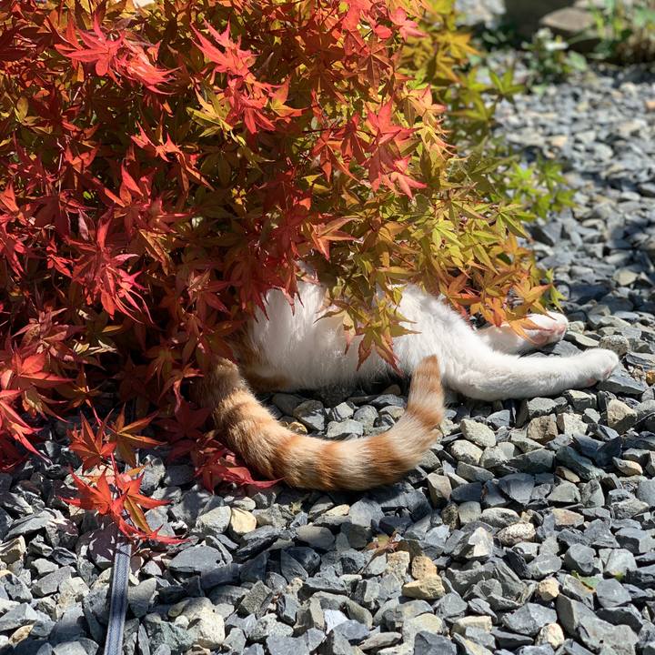 3e2f5b36 500e 4cbe a54d 37d2abb1bc1a 1622252991099