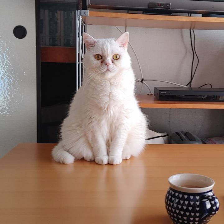 3e2fdb0a 2168 4493 9e9d 1dbeabf88468 1715994670299