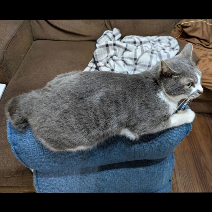 3e2ff2d4 c1f6 4780 9b0b e9e6784d2380 1774797134088