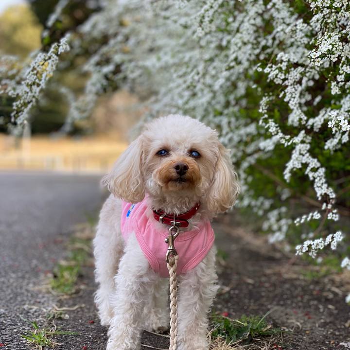 3e30016b c560 49f6 9cb8 c68d89cbf790 1616556402343