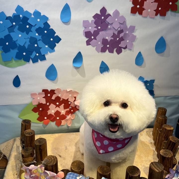 3e30146f 832e 4d7b 8195 3a9ad57dc7c8 1654577050041