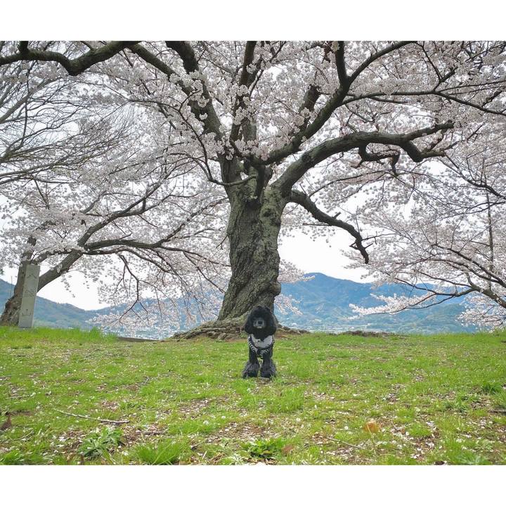 3e302980 30df 4a9f b5ba c7d1dc8cb469 1648955230287