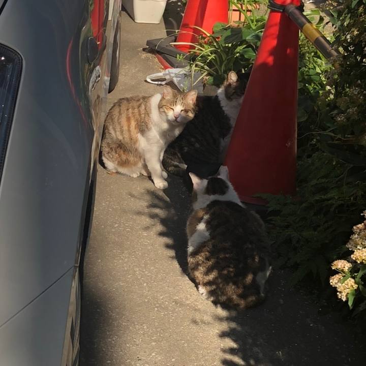 3e305e9f 6ad1 44a9 ba5a 464272e93d7f 1558179501766