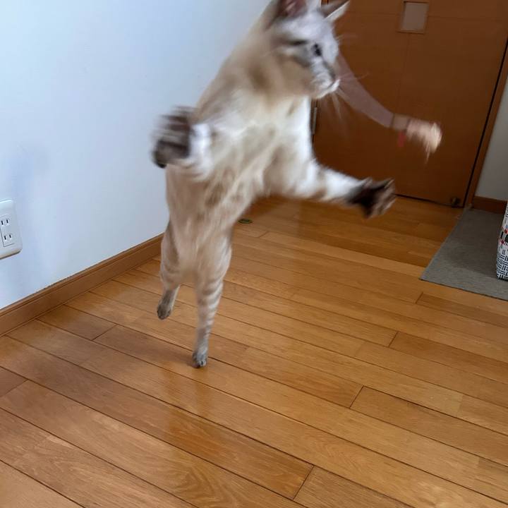 3e3083b3 e836 40c3 98bd 5ea0e8054382 1756333602130