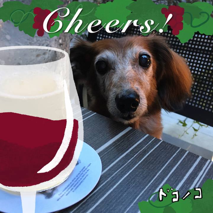 3e309e2d f4e8 4f28 a0fb 65ff4d0885ab 1761214726161