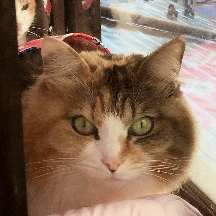 3e30ddd3 9448 43d7 8bea 0291347ab3e6 1578565579448