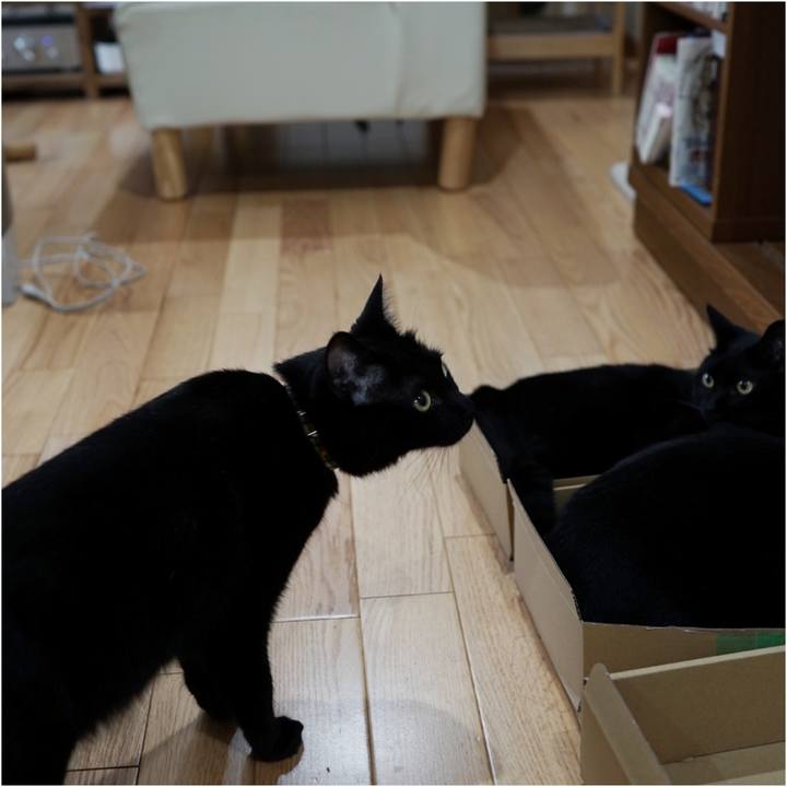 3e30e598 9833 4197 9b7e 6ab2bdcae44e 1559258650241