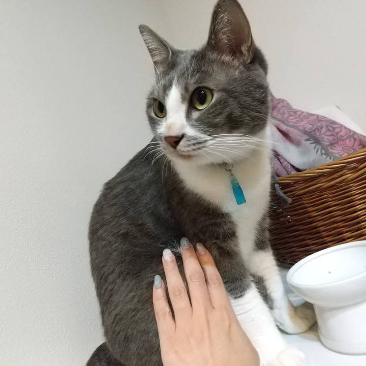 3e30f549 7ade 4c84 8741 bb48a7bda939 1639518077373