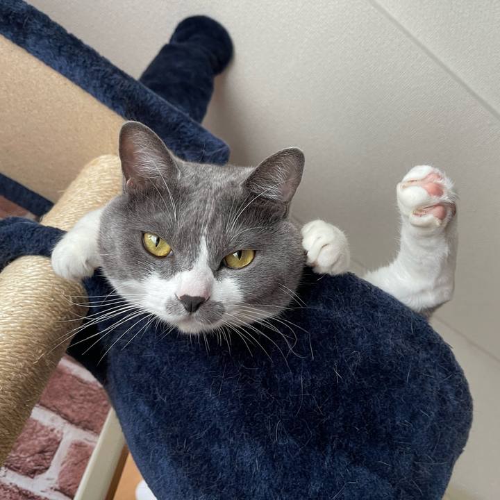 3e3105b3 5a87 4835 8e95 dd7aa58b7109 1663631274858