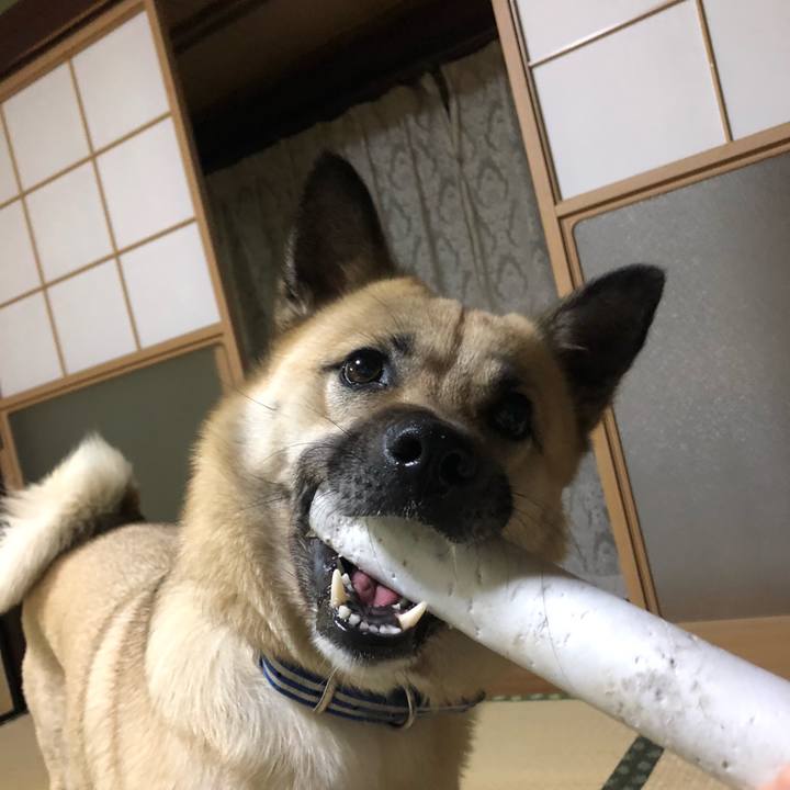 3e314ff0 3712 4c3e 8089 c7771fe6e302 1554291855551