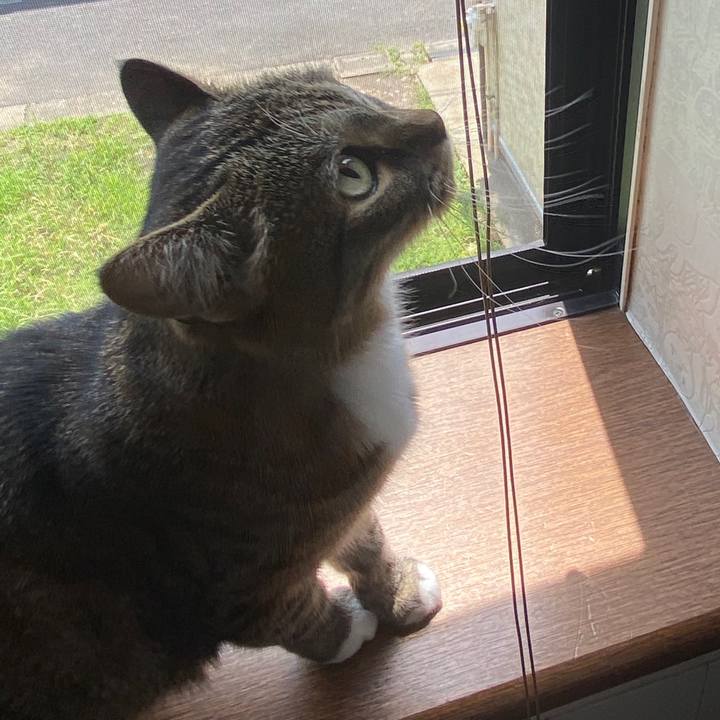 3e317402 dd2f 4db0 b283 f198cdf70898 1596288353281