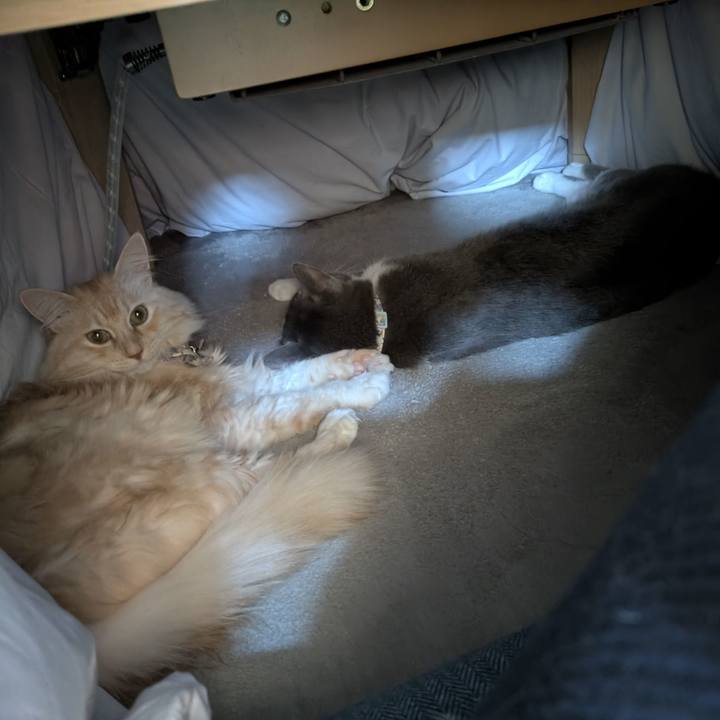 3e31b874 12c3 4643 b3e7 76e271cccee5 1763524369524