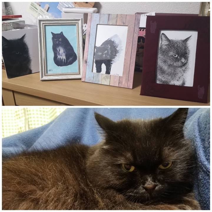 3e31d520 2dab 4a07 bb52 e7ff883c23d4 1582121764266