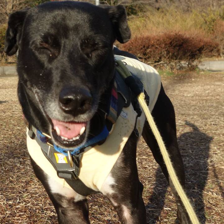 3e31e7d2 ab91 4907 a4bc c81f893feef6 1643505048817