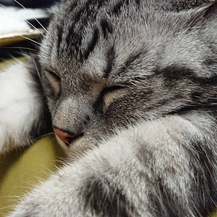 3e31f236 b758 4e03 88dc e1992a681823 1524313816290