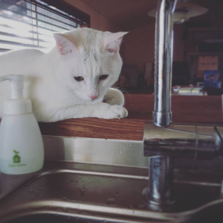 3e32185b a013 4b15 a017 cfa7b12195d9 1517961261245