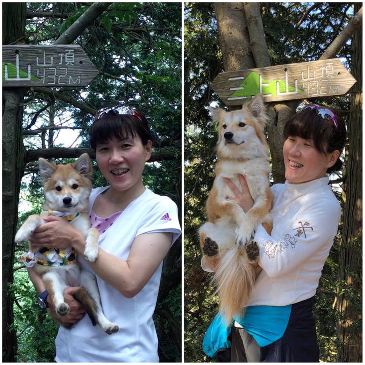 3e32219a 505d 4dce 8705 53995e32d7a2 1552135732151