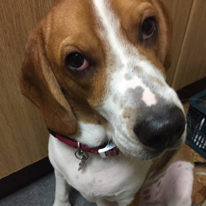 3e3221a9 9912 4205 9b37 bc8b55b8096e 1538825858204