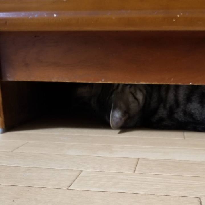 3e323d16 c951 48d9 a552 421c8d514a3e 1689512152609