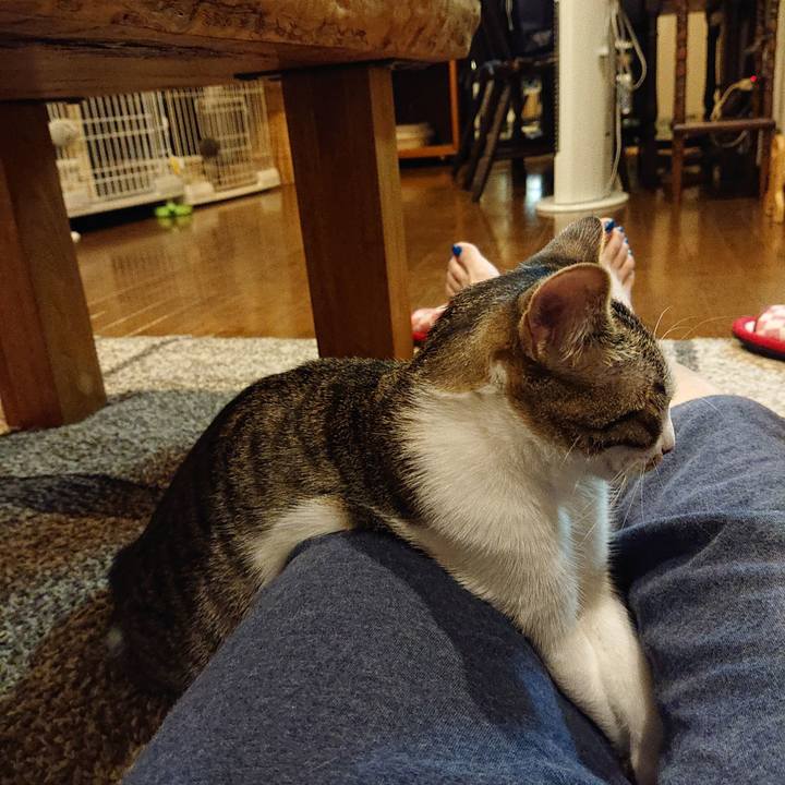 3e325fc1 a63b 483e 96cd 538586912edb 1555761989902