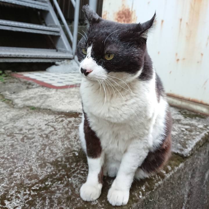 3e329092 91de 4a2c bccf d390a06515d9 1614071634082