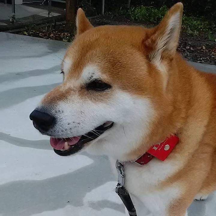 3e329945 ea64 4130 b574 403f91df635c 1658229410232