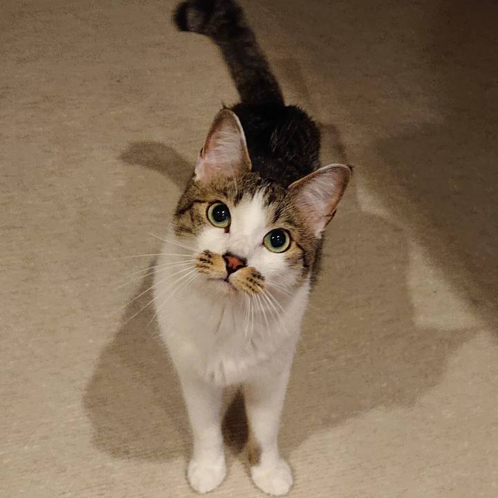 3e32a568 b333 41d3 8de5 044b6b57be9f 1648740921604