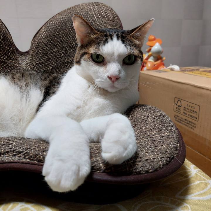 3e32b814 63de 4957 b08a f483a1b6257c 1688774892710