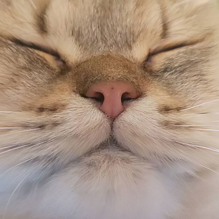 3e32bddf 5405 47b3 84c3 bbbf419be5fb 1573020875962