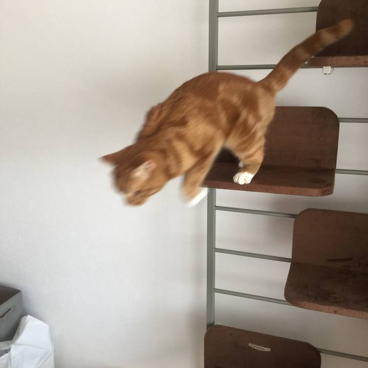 3e32c0ab ec3f 4a63 a253 0e1e616749d8 1533432359327