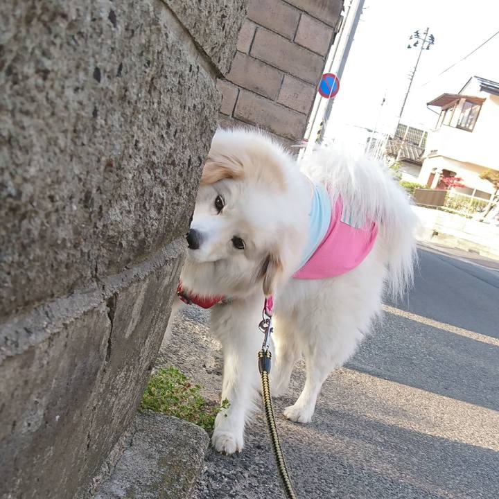 3e32f9bd 3903 40e3 a49f 0e3c357002b6 1524260633228