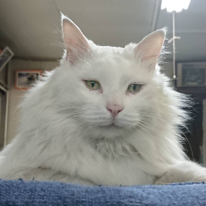 3e330005 54b5 4e21 ae05 63d8d56b1720 1526596073403