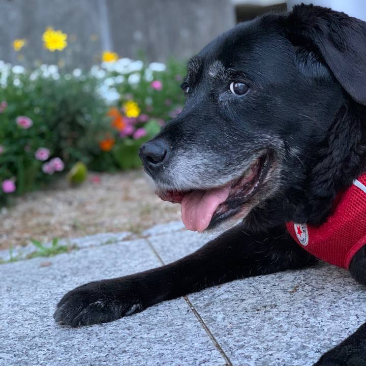 3e333f52 a845 48aa a8c6 9dc11055fe44 1650454387777