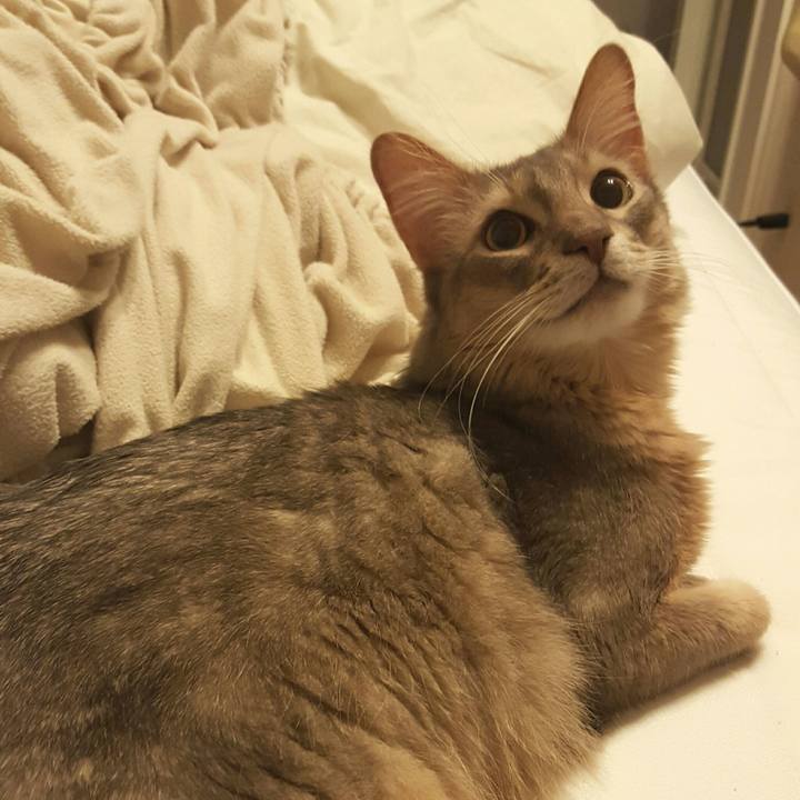 3e334e23 be5d 441c a91d 9d4a2d6660c8 1522506123089