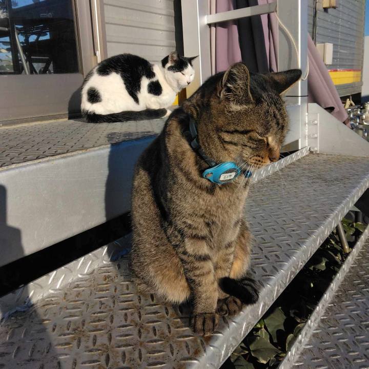 3e3382ae 6908 4f26 991e 3459cb155dc8 1703417884193